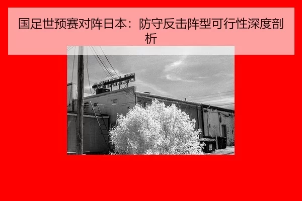 guo-zu-shi-yu-sai-dui-zhen-ri-ben-fang-shou-fan-ji-zhen-xing-ke-xing-xing-shen-du-pou-xi-3-920.jpg