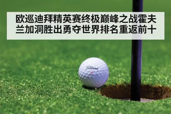 欧巡迪拜精英赛终极巅峰之战霍夫兰加洞胜出勇夺世界排名重返前十